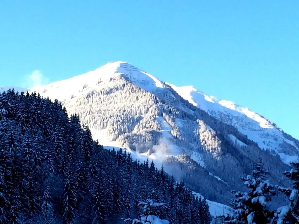 Hotel Panorama Landhaus - Joker Card Included In Summer Saalbach-Hinterglemm