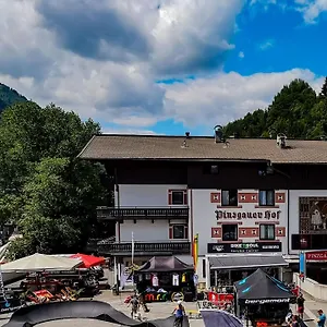 Pinzgauerhof - Inclusive Evening Dinner And Joker Card In Summer Hotel